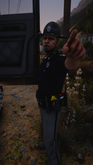 Motor Carrier Compliance Division - GADPS EUP