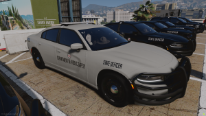 2020 Dodge Charger - Commercial Vehicle Enforcement